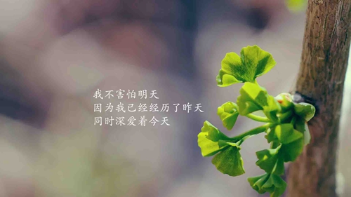 幽默搞笑情话大全