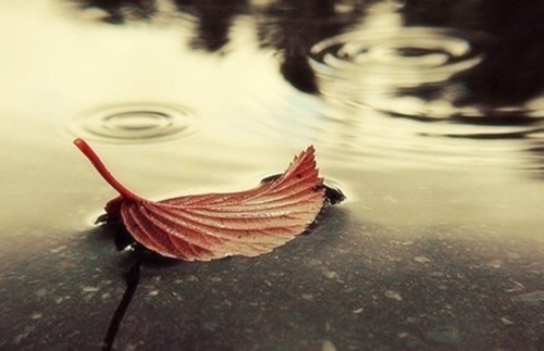 雨女无瓜什么意思